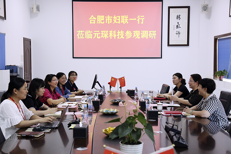 合肥市妇联第一调研组赴Welcome大发科技调研指导