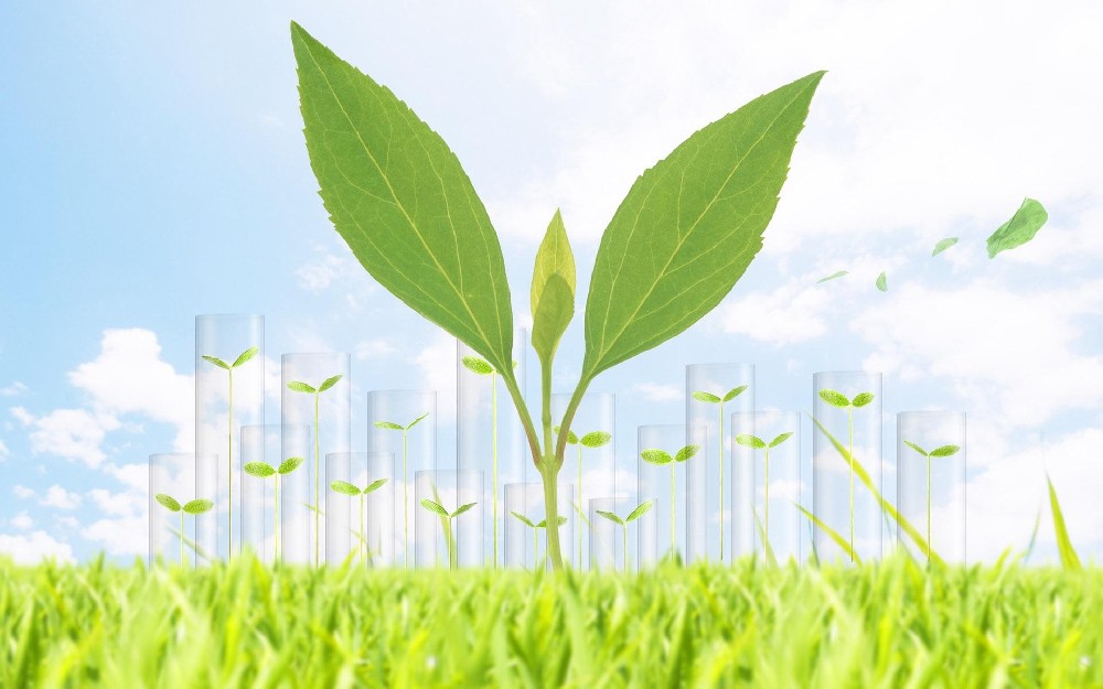 生物质发电厂如何除尘？